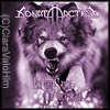 Sonata Arctica