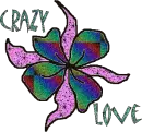 crazy love