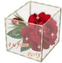 4 U from Perry - Rose Glassbox