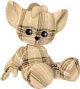 kitty