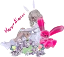 bunny