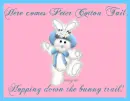 Peter Cotton Tail