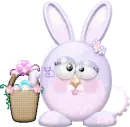 bunny