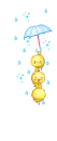 chicks