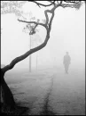 walking a lonely path