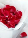love flowers