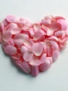  	love flowers