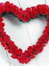  	love flowers