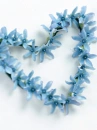 love flowers