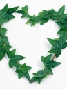 love heart tree leaves