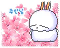 cute kawaii mashimaro