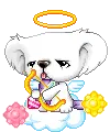  	cute kawaii cupid koala sayclub