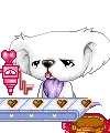 cute kawaii koala sayclub