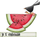 Watermelon and a Black Bird