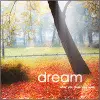 dream