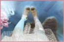 shoes together