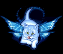 kitty