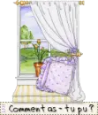 Window