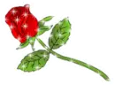 cute love rose