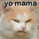 Yo mama