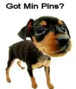 Min Pin
