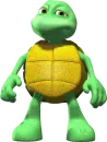 turtle