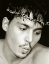 crown of thorns