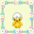 cute kawaii chick