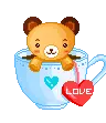 cute kawaii teddy bear
