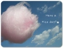 Have a Nice Day!!