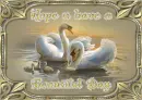 HOpe you have a Beautiful Day - Swan Reflection