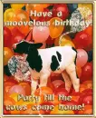Moovelous Birthday 1