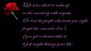 Life is too short