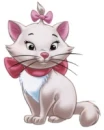 kitty Marie