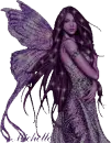 Fairy