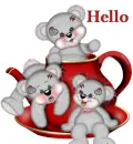 Hello!