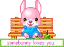 somebunny..