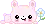 pink bear