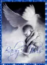 In Gods Hands - Baby Chris
