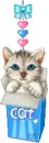 kitty