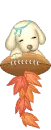 cute puppy