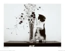 CAT & FLOWER