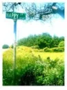 happy road