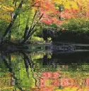 water effect
