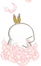 cute kawaii mashimaro