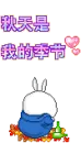  	cute kawaii mashimaro