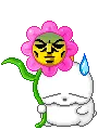 cute kawaii mashimaro