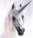Pure Souled Unicorn