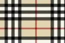 flashing plaid