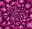 Fuschia